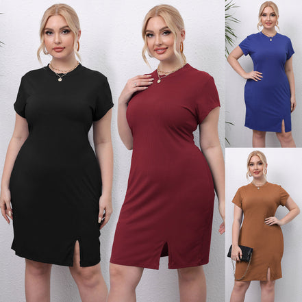 Round Neck Short Sleeves Slim Fit Dress