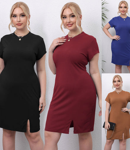 Round Neck Short Sleeves Slim Fit Dress