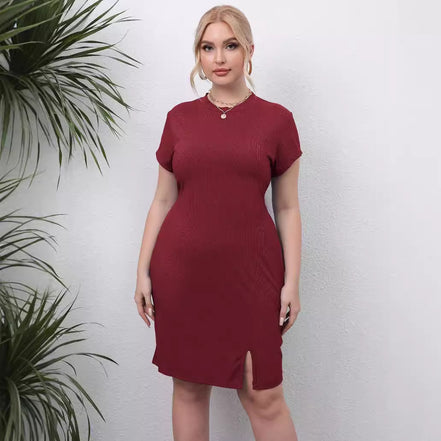 Round Neck Short Sleeves Slim Fit Dress